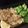 Laura Urrego's cooksnap of when they made Lemon Garlic Tilapia.