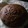 El cooksnap de María Laura Larroque Dos Santos cuando hizo Torta deli de chocolate.