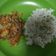 Cooksnap dari Kiki Huwel untuk resep Tumis daging sapi (MPASI 1y+)