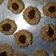 Cooksnap dari danny kusuma untuk resep Choco Peanut Thumbprint Cookies (Step by Step)