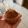 El cooksnap de Paulette cuando hizo Cupcakes de banana y avena.