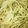 El cooksnap de Lorita cuando hizo Pesto simple y fácil.