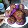 Cooksnap của Thu Mèo khi họ làm theo món Bánh Khoai Lang