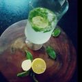 Rupa Tiwari 's cooksnap of when they made Refreshing Mint Sorbet Lemonade.