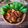 Cooksnap dari dapur ade untuk resep Balado Ayam Broiler