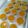 Cooksnap dari bu wien untuk resep Puding Labu Kuning (Waluh)
