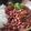 Mommyluvs2cook's cooksnap of when they made Sheri's red beans and rice.