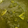 Abhilasha Akhouri's cooksnap of when they made पालक पनीर (palak paneer recipe in Hindi).