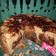 Cooksnap dari Eka Patmawati untuk resep Bolu jadul 6 telur