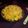 Arpita Biswas's cooksnap of when they made ফ্রায়েড এগ পাস্তা (fried egg pasta recipe in Bengali).