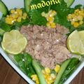 صورة من طبخات بنت الشام منى Madona ، شاركها بعد تجربة وصفة سلطة التونا