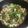 Shi Ting Pon 的 客家鹹湯圓 cooksnap