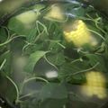 Cooksnap dari Bulan fitriadesa untuk resep Sayur Bayam Jagung Manis