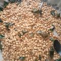 Cooksnap dari Dwi Muslimawati untuk resep Kacang Bawang Renyah