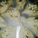 El cooksnap de Erika Vallejo cuando hizo Empanadas árabes caseras!!.