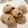 El cooksnap de Rodrigo Bugueño Vivanco cuando hizo Galletas veganas.