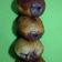 Cooksnap dari J Mom untuk resep Bomboloni (Donat empuk isi selai)