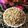 Harsha Gohil's cooksnap of when they made સ્પ્રાઉટ સલાડ.