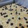 Cooksnap dari Zara Oktavia untuk resep Botterkoek / Lekker Holland 6 bahan utama