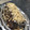 El cooksnap de Maylen Meana cuando hizo Brownie con cobertura de chocolate.