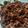 Cooksnap dari Galeri Infi IF untuk resep Kering Daging Suwir #keto