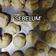 Cooksnap Wendy Chai semasa beliau membuat Roti Puri.