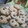 El cooksnap de Brenda Abigail Casaburi cuando hizo Galletitas azucaradas de coco y canela🤓.