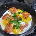 ابوطلال's cooksnap of when they made بيض بطماطم مقلية Egg with fried tomatoes.