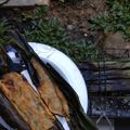Cooksnap dari cahya rini untuk resep Otak-Otak Udang Khas Palembang