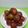 艾莉娜 的 《二廚料理醃製》古早味醃桃子 cooksnap