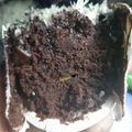 Cooksnap dari RatuLebah 🍓 untuk resep Moist Eggless Steamed Brownies
