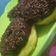 Cooksnap dari Dapur Awam untuk resep Donat kentang montok tanpa mixer