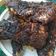 Cooksnap dari lailatul khomsinah untuk resep Lele Bakar (Cepat, Praktis dan Ekonomis)
