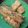 Cooksnap dari Tri Choyuwati untuk resep Lele Goreng Tepung Krispy