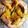 Moumita Nayak's cooksnap of when they made ডাব চিংড়ি (daab chingri recipe in Bengali).