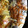 El cooksnap de katia_1966 cuando hizo Dorada al horno.