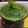 Archana Yadav's cooksnap of when they made Coriander chatni.