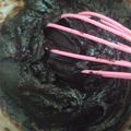 Cooksnap dari indiraagustin untuk resep Filling Coklat Homemade🍫 (Isian Roti Manis)