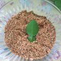 Cooksnap dari reny eka Wartawati untuk resep 126. Bubuk Kacang (topping ketan)