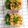 Ching Yuan Yang 的 親子丼 cooksnap