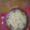 El cooksnap de Cora Vicens cuando hizo Espinacas con bacalao al horno.