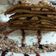 Cooksnap από Panagiotis Patsiouras Anna Tsirka στη συνταγή Pancakes!
