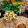 Cooksnap dari PutriChristian untuk resep Tahu Domino Sambal Kecap #w3