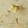 Meena Chudasama's cooksnap of when they made દૂધ પૌવા(Milk Pauva Recipe in Gujarati).
