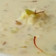 Meena Chudasama's cooksnap of when they made દૂધ પૌવા(Milk Pauva Recipe in Gujarati).