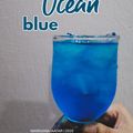 Cooksnap Mardiana Jaafar semasa beliau membuat Ocean blue merdeka.