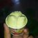 Cooksnap dari Dessy Kurniawati untuk resep Bolu pandan kukus
