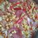 El cooksnap de Javier cuando hizo 🥇🍕 Masa para pizza | Prepizza | Pre pizza | Paso a paso 🍕🔥.