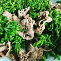 Cooksnap của Rose Truong khi họ làm theo món Bò xào hoa lẽ trời -bông thiên lý :)))))