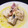 El cooksnap de Becky cuando hizo Bonito en escabeche.